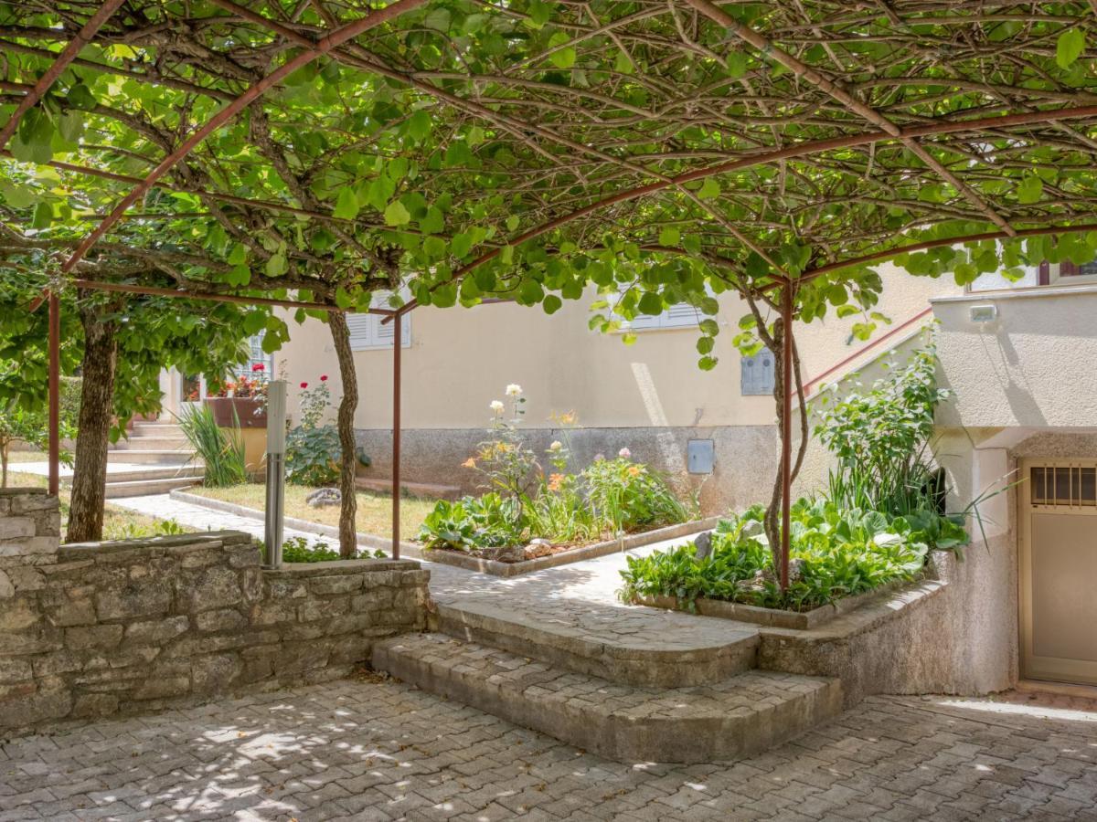 Daria-3 By Interhome Appartement *